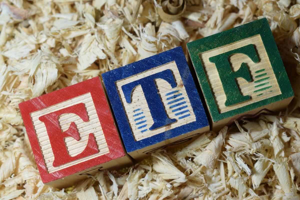 Three Vanguard ETFs to Consider for Safeguarding Your Portfolio Against a Possible Stock Market Drop