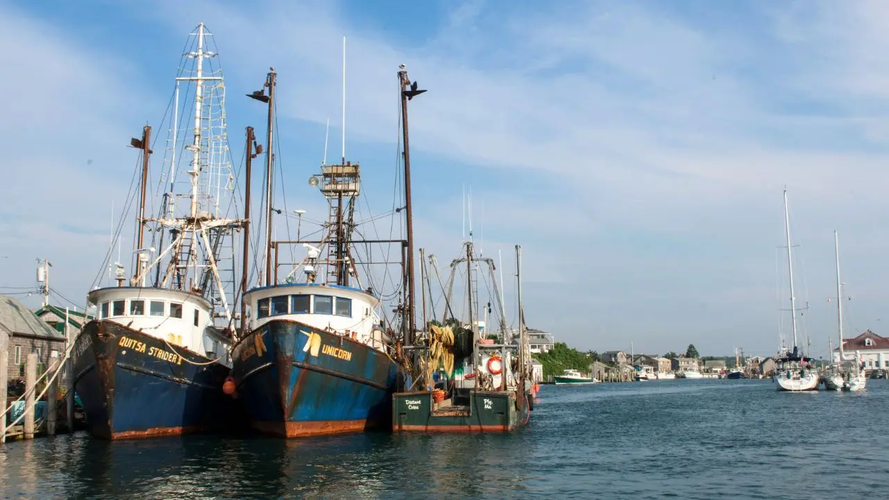 Trump allows commercial fishing in New England's protected waters again