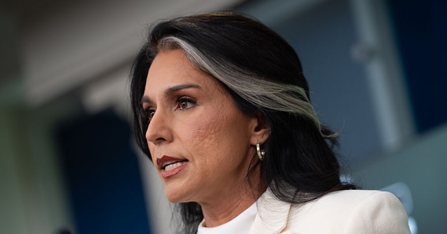 Tulsi Gabbard Marks One Year as Director of National Intelligence Safeguarding U.S. Security and Exposing the Deep State