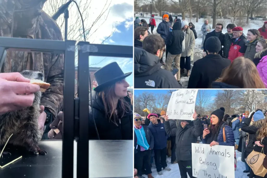Unusual Groundhog Day celebration in NYC featuring Curtis Sliwa attracts many hipsters and protesters – with a potential change for next year