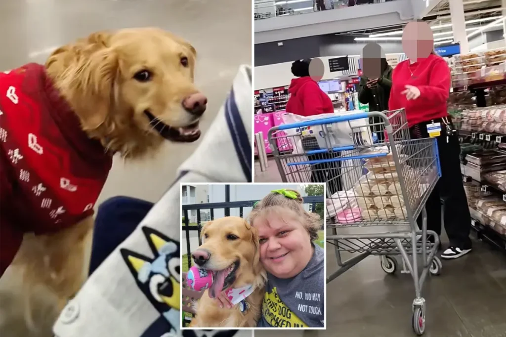 Walmart customer in New York reportedly trailed by staff due to service dog being unrestrained