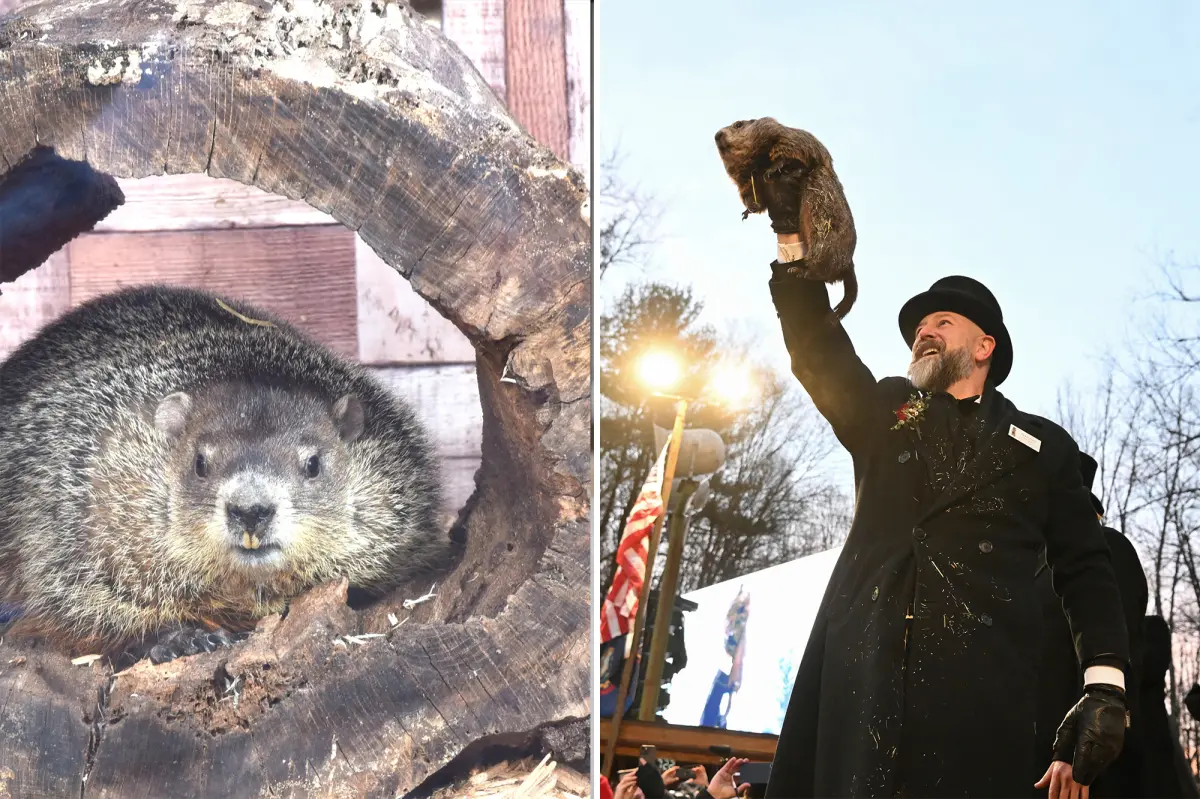 When and where Punxsutawney Phil and Staten Island Chuck will share their forecasts.