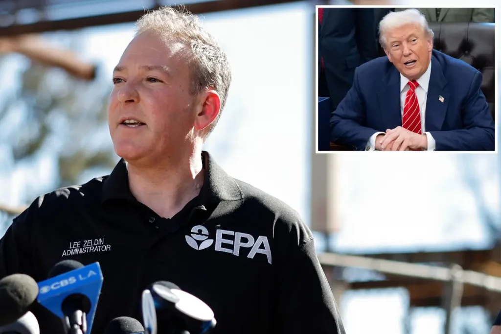 Zeldin criticizes Newsom, claiming his constant remarks about Trump are detrimental to fire victims.