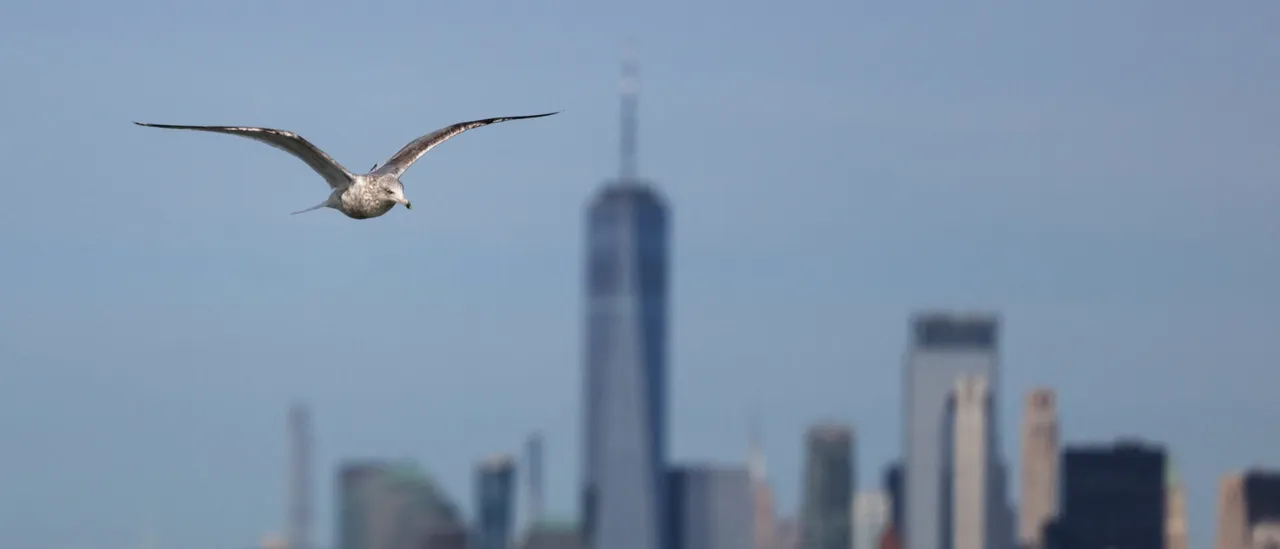 ‘Increased Compassion for the Person Who Robbed Me’ — New Yorkers Share What Finally Drove Them Out of the City