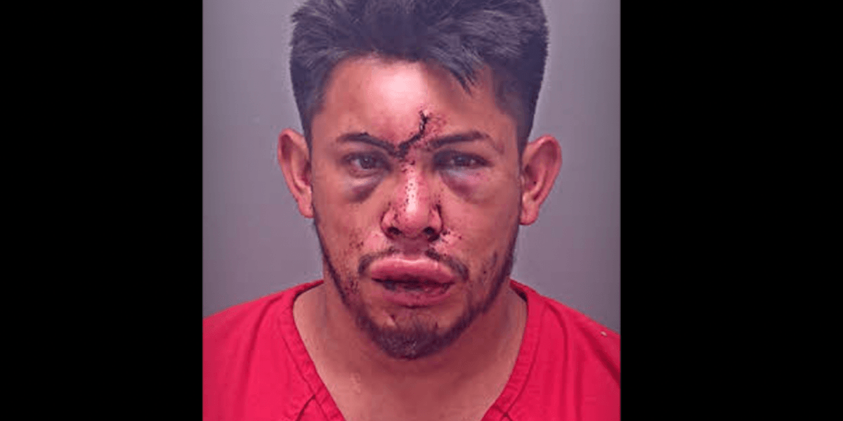 13-year-old boy violently confronts stepfather who reportedly choked his mother and assaulted him