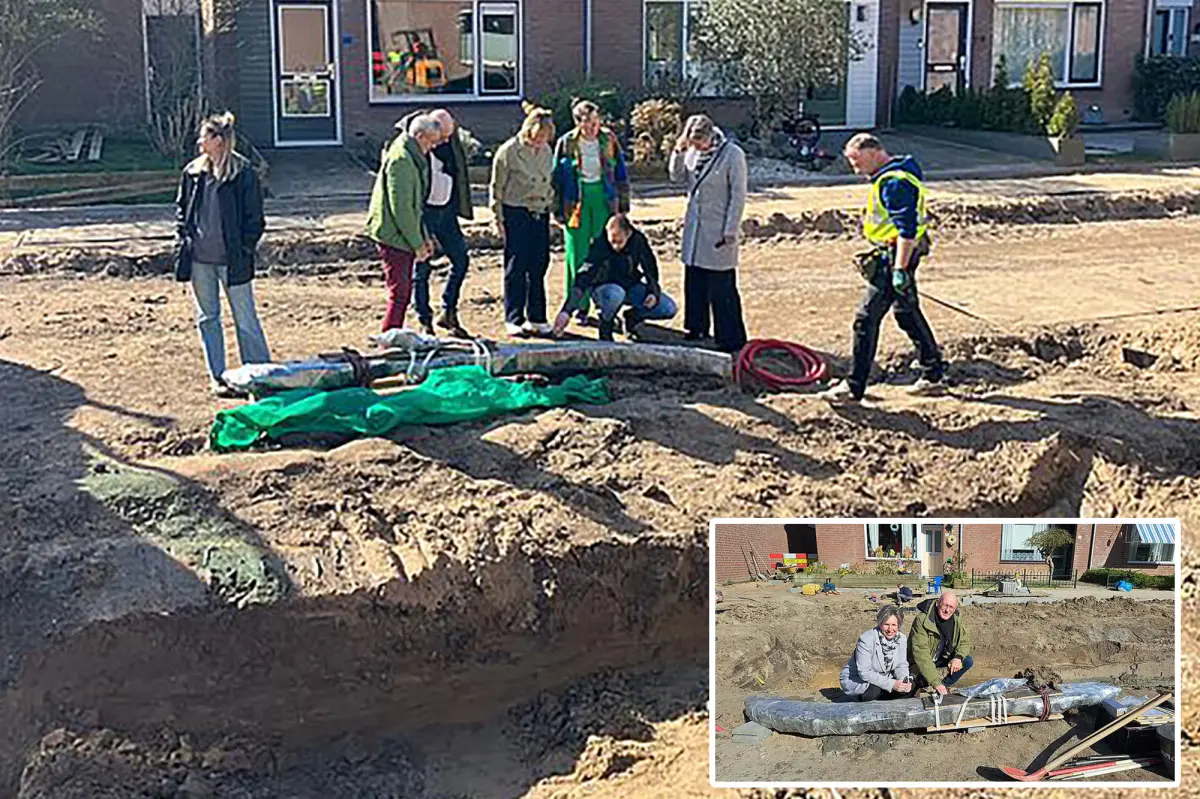 1,300-year-old piece of Viking ship discovered during underground excavation