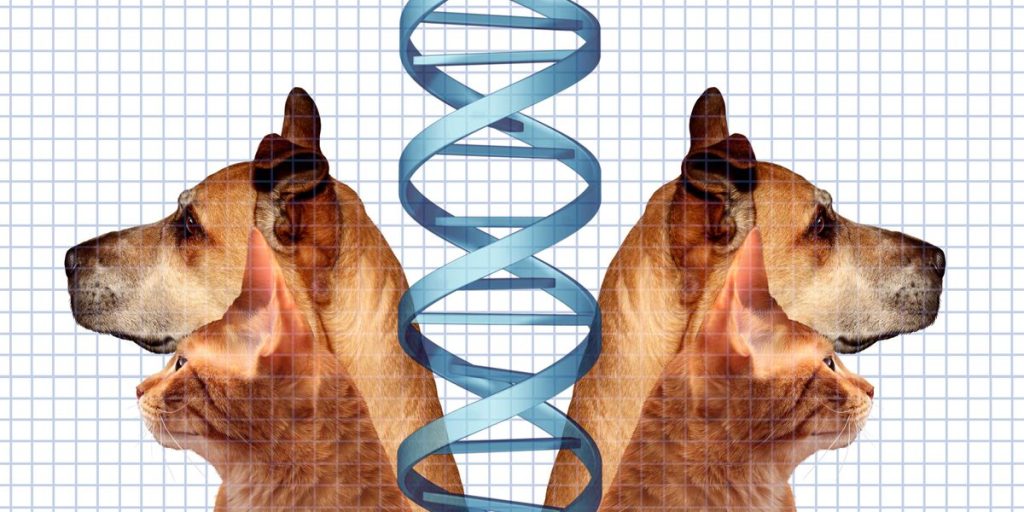 A man used Grok to rescue his dog. Is intellectual property on the verge of collapse?