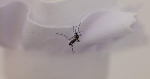 A mosquito-control device encounters a challenge: convincing L.A. property owners to contribute.