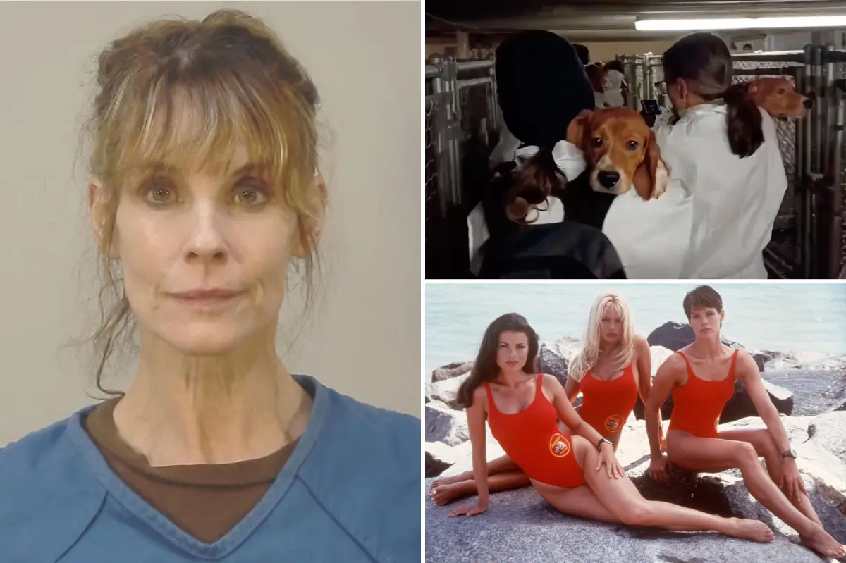 Actress Alexandra Paul from 'Baywatch' detained for releasing beagles during an animal rights demonstration