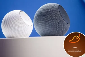 Amazon users dislike Alexa's new, adult-focused 'Sassy' voice.