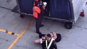 Baggage handler at LAX filmed tossing guitar cases on the runway
