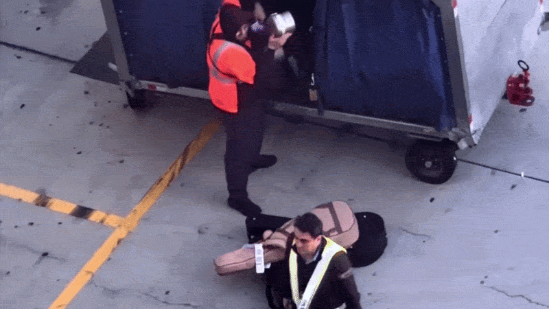 Baggage handler at LAX filmed tossing guitar cases on the runway