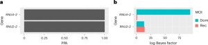 Biallelic variants in RNU2-2 lead to the most common known recessive neurodevelopmental disorder.