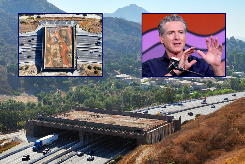 California's $114M wildlife overpass encounters budget issues and a delay until late 2026