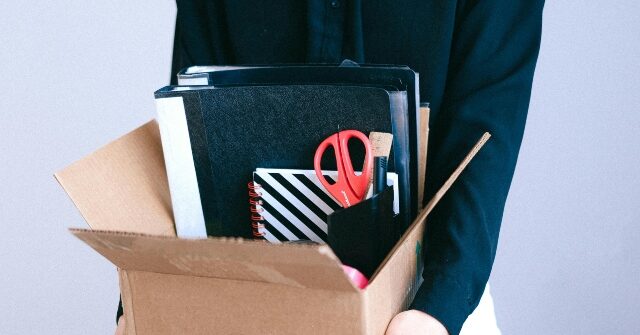 Concerns About Job Losses Due to AI Being Leveraged to Advocate for Wealth Redistribution