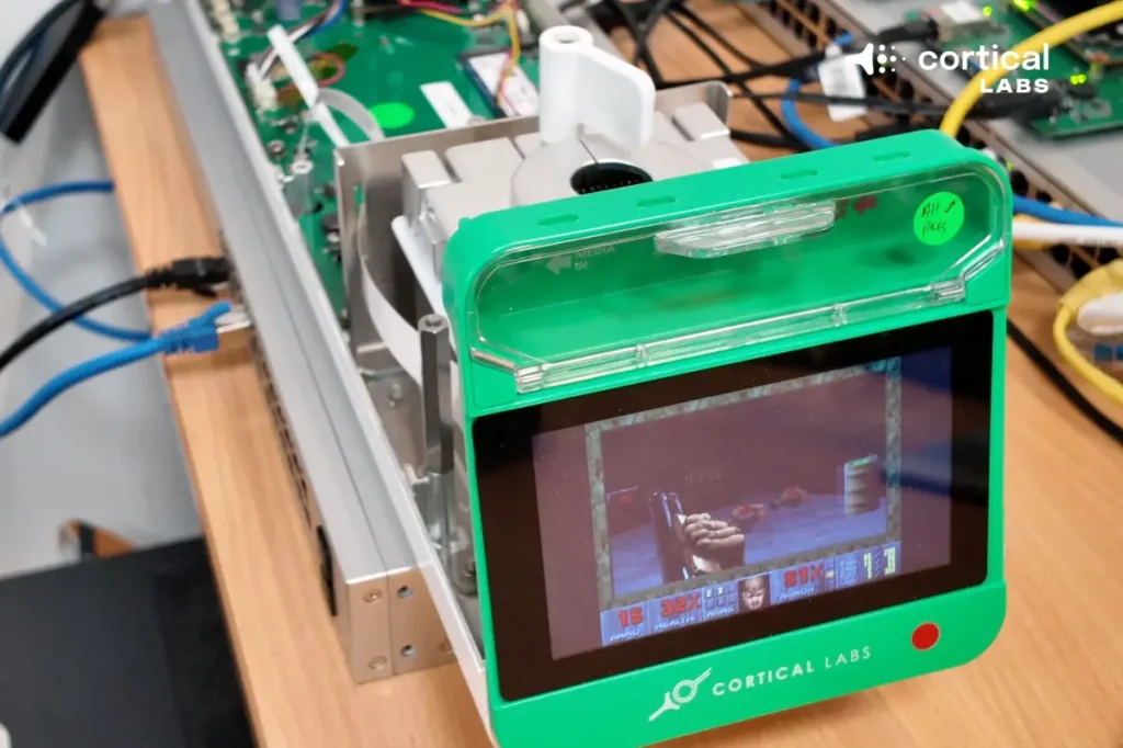 Creative researchers to fuel AI data centers with microchips powered by living brain neurons