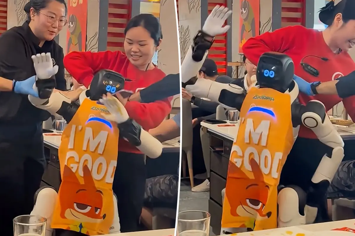 Dancing robot removed from restaurant after frightening customers