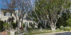 Dedicated father and enthusiastic teacher dies during a student prank. However, the victim's family seeks compassion rather than vengeance.