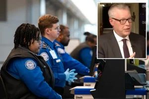 Delta CEO criticizes Congress for unpaid TSA workers as airport disorder persists: 'Unacceptable'
