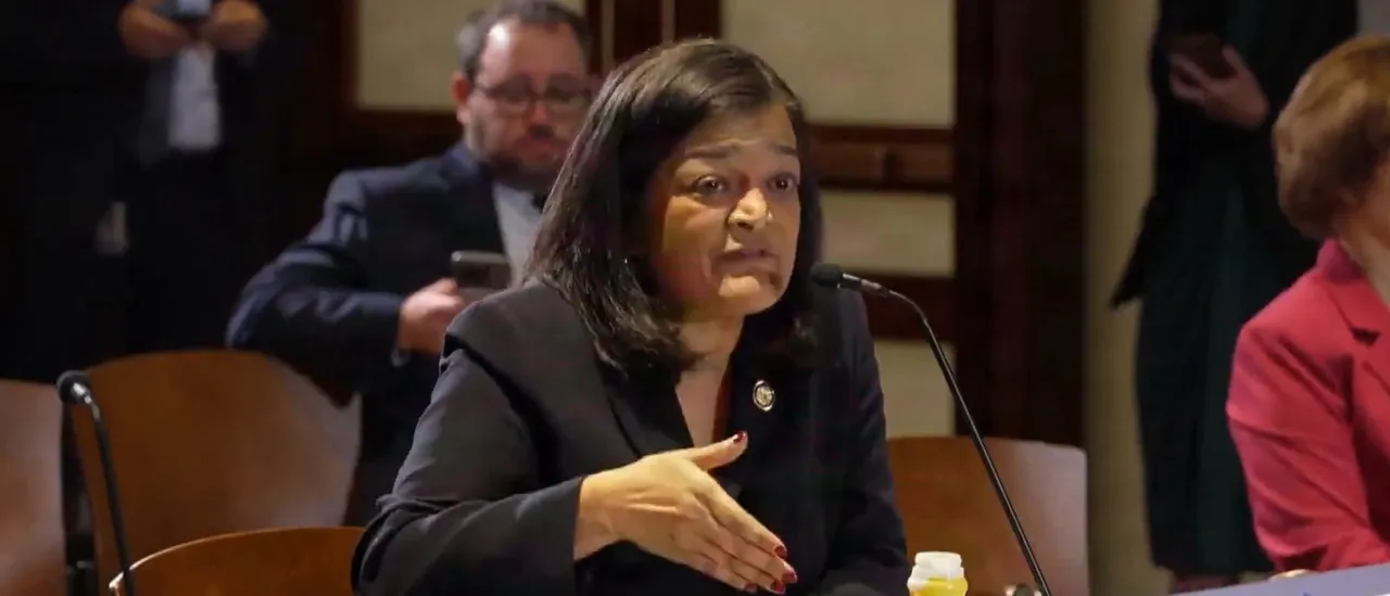 Democrat Representative Pramila Jayapal Advocates for Reparations for Undocumented Immigrants