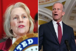 Democrats are expected to secure the Senate in addition to the House in November, according to the campaign director.