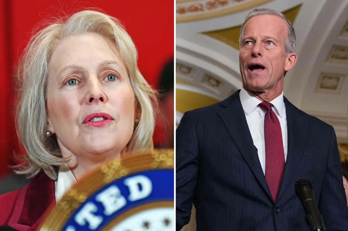 Democrats are expected to secure the Senate in addition to the House in November, according to the campaign director.