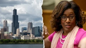 Donna Miller triumphs over Jesse Jackson Jr. in the Illinois Democratic primary