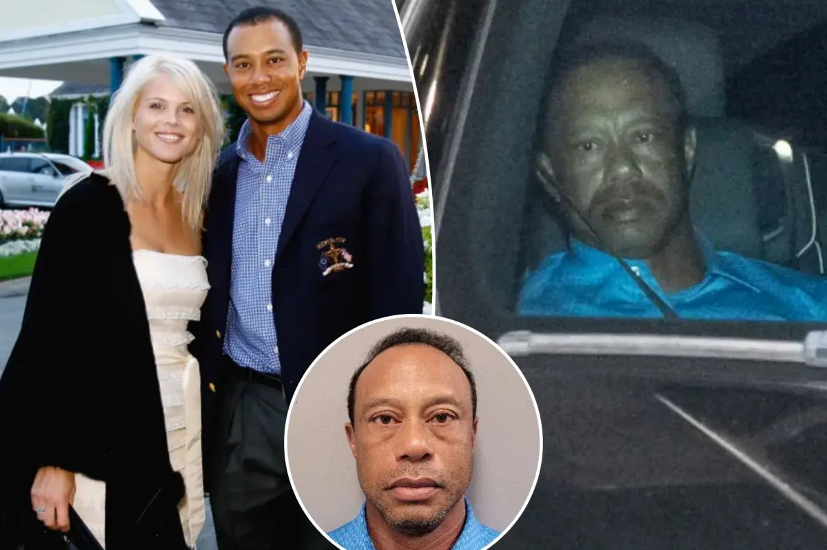 Elin Nordegren, Tiger Woods' former wife, worried after recent DUI arrest