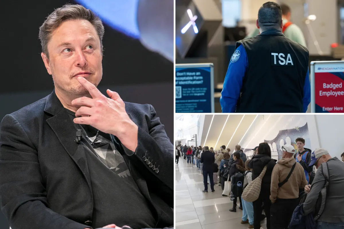 Elon Musk proposes to cover TSA employees' wages during budget negotiations with DHS
