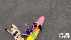 Florida officers use paddleboards to apprehend suspect who jumped into river