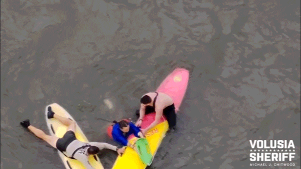 Florida officers use paddleboards to apprehend suspect who jumped into river