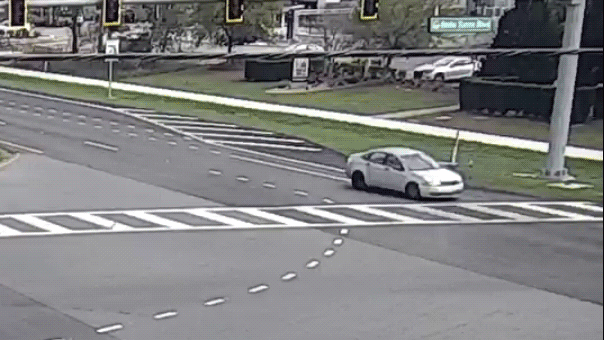 Florida repeat offender filmed driving in reverse on the highway