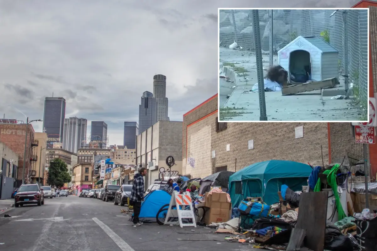 Footage reveals homeless individuals in Los Angeles residing in sewer systems.