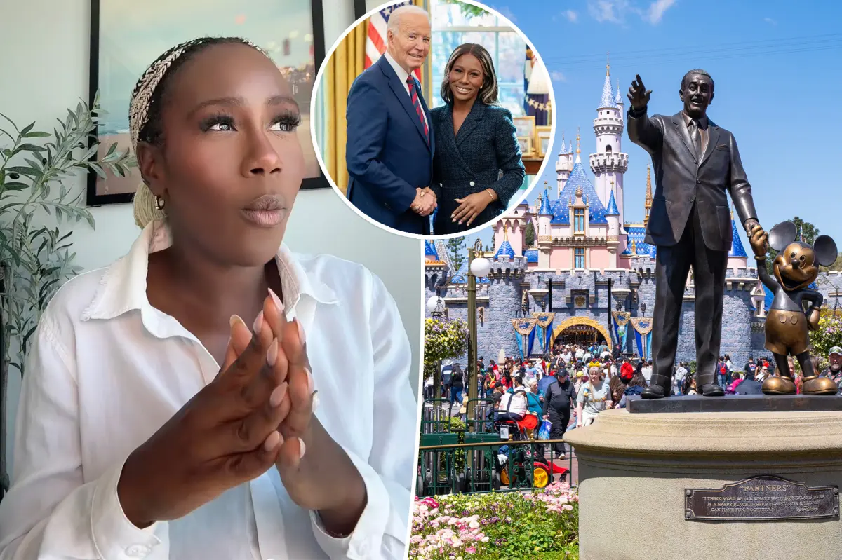 Former Biden staffer calls 'inappropriate' adult clothing at Disneyland 'truly troubling'