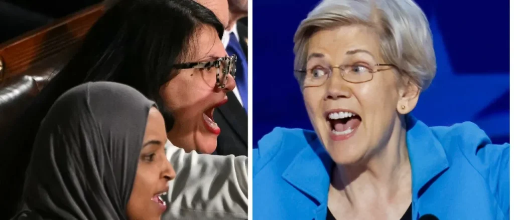 Get Ready: Tensions Between Liberals Expected to Rise in the 9th Congressional District Near Chicago