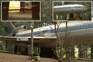 Gunfire breaks out at a strange teen gathering in a house built from an old Boeing 72 jet