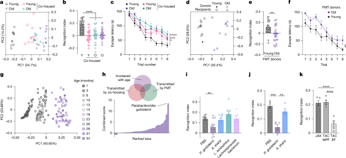 Gut sensing issues lead to cognitive decline associated with aging