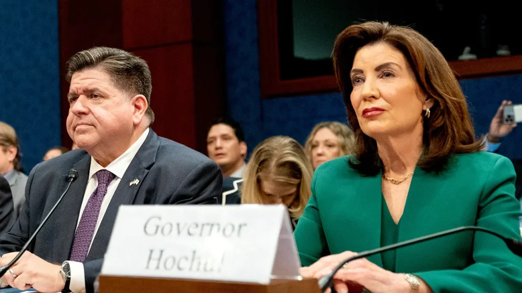 Hochul refers to millionaires as 'patriotic' for remaining in New York.