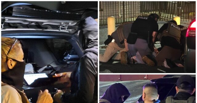 Houston ICE Detains 414 Illegal Alien Child Predators in Trump's First Year Back — Almost Twice Biden's Last-Year Count