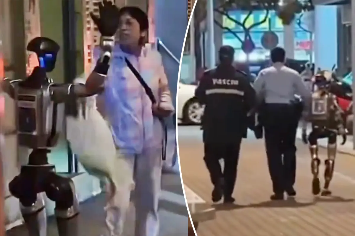 Humanoid robot 'arrested' by police after frightening elderly woman on the street
