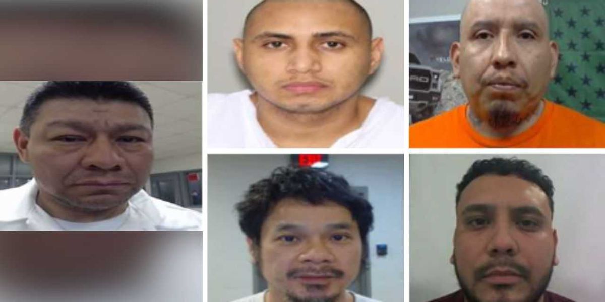 ICE captures child predators and ecstasy dealers while Democrats attempt to gain favor, according to DHS.