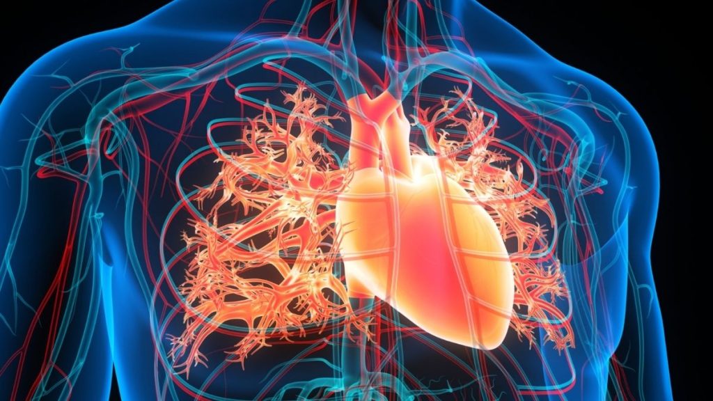 Injecting Magnetic Fluid Into The Heart Could Help Prevent Strokes, Scientists Believe