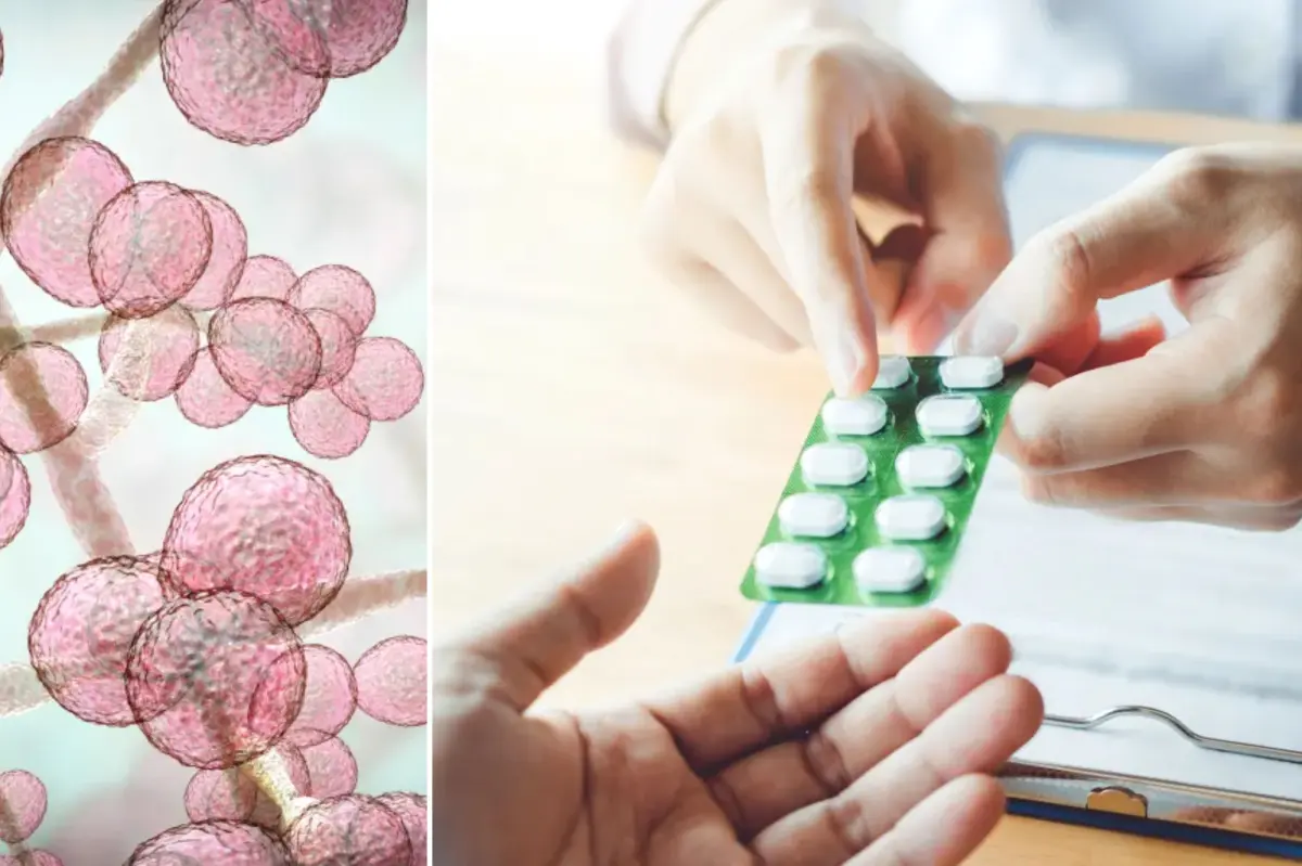 Inside New York's 'superbug' crisis and the unhealthy practice that's contributing to antibiotic resistance