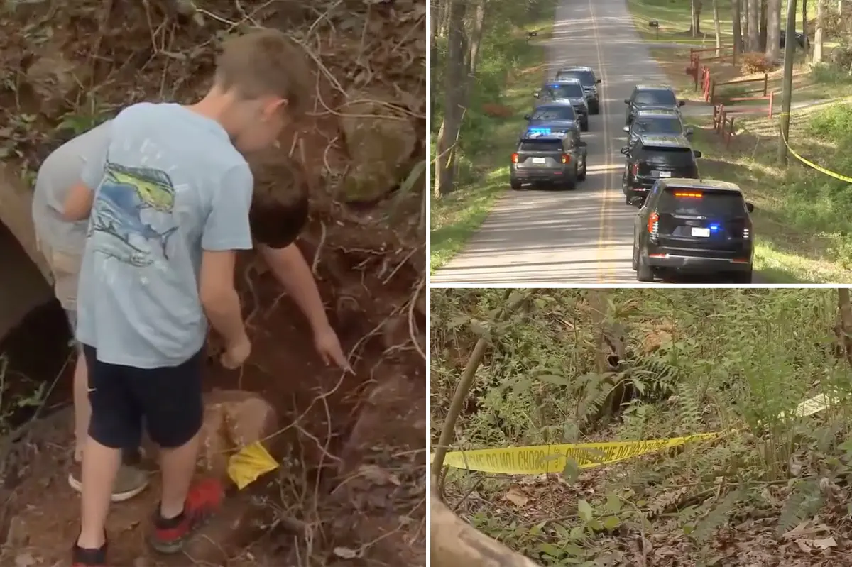 Kids discover human skull while playing by creek in South Carolina, officials recover 50 additional bones.