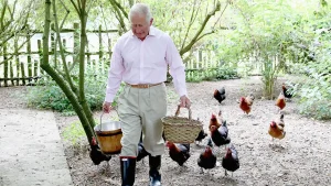 King Charles continues to care for his chickens at Highgrove while dealing with cancer.
