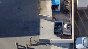 Las Vegas police share drone footage of a suspect pursued following an alleged stabbing.