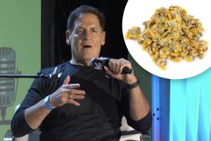 Mark Cuban shares his 'disgusting' lunch that contains 25g of protein