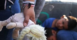 Mayor of California Claims State Officials Shield Child Trafficking by Migrants