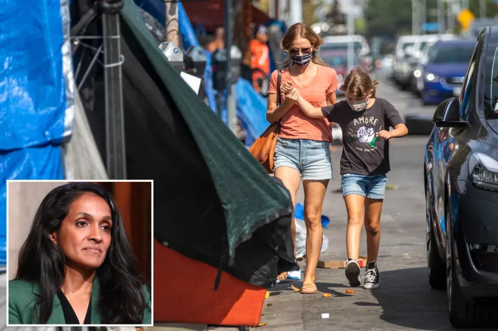 Mayoral candidate Nitha Raman's views on homeless camps close to schools