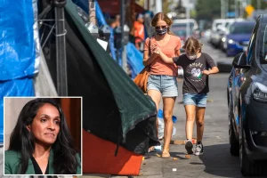 Mayoral candidate Nitha Raman's views on homeless camps close to schools